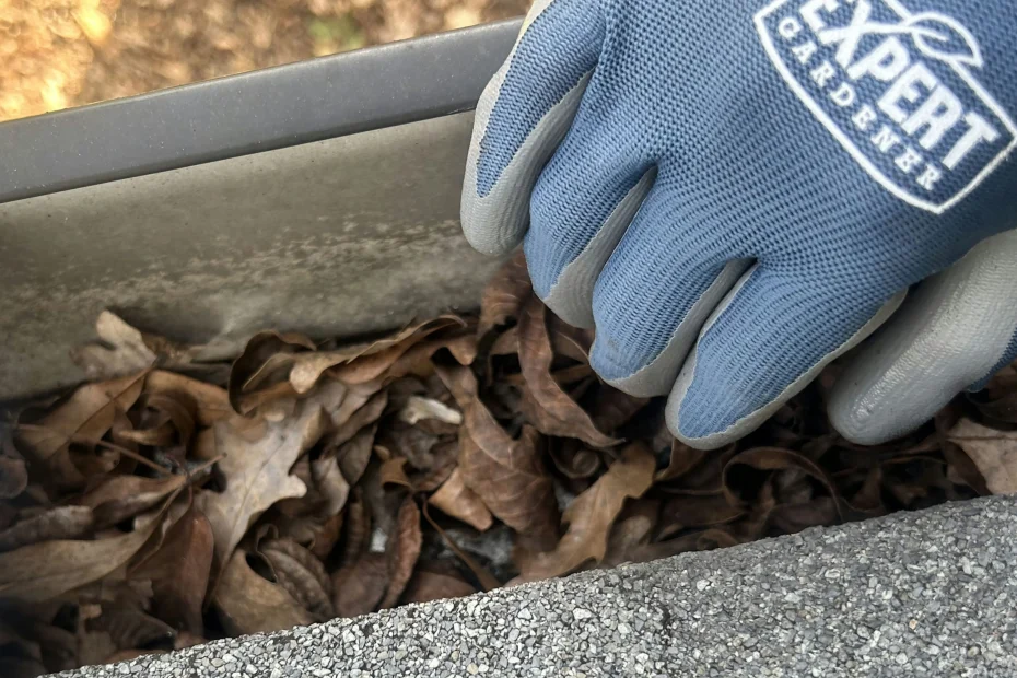 Gutter Cleaning Flowery Branch